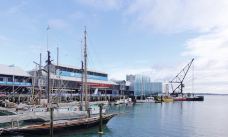 豪拉基湾-奥克兰-hiluoling