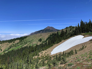华盛顿州游记图文-意犹未尽的西雅图之旅
