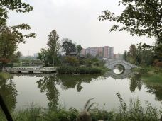 双流区中心公园-成都-Lxy60