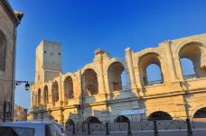 阿尔勒竞技场-阿尔勒-翱翔的大鲨鱼