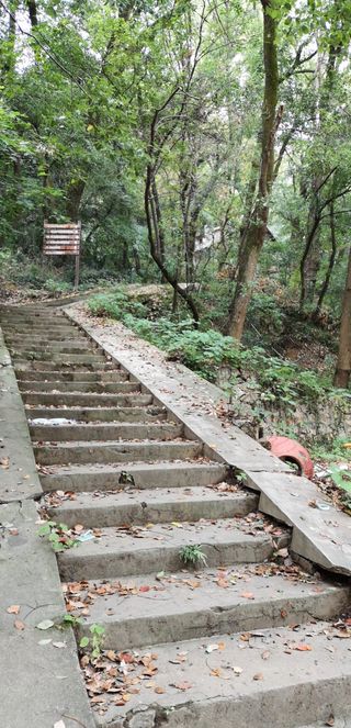 武大珞珈山（走进武大）