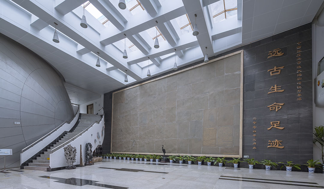Gallery 2