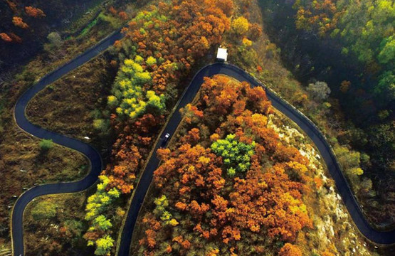 懷柔喇叭溝門藏著家真正的果樹民農家院，美食豬肘子又香又有嚼勁。