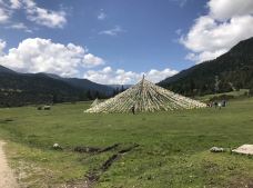 鲁朗花海牧场景区-林芝-陌染MM