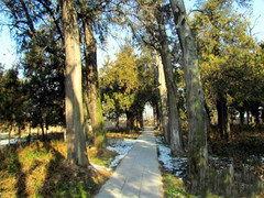 商丘游记图片] 河南旅游：寻访平民宰相伊尹祠（图）