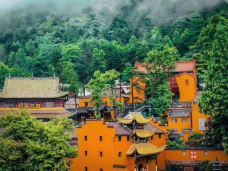 祇园禅寺-青阳-YoYo_7Z7P2X3J