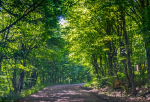 迪利扬国家公园景点图片