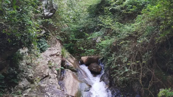 神嶺瀑布景區