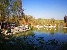 潘安湖国家湿地公园-徐州-JXB333