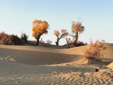 塔里木沙漠公路-且末-JJ77