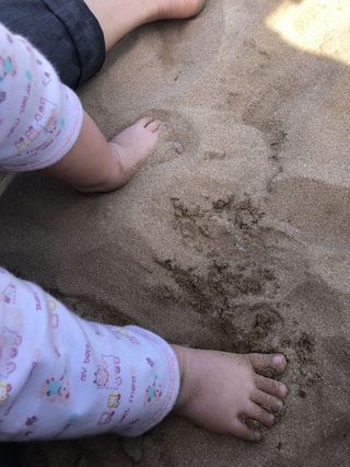 新手妈妈抓住2020的尾巴带娃青岛一日游