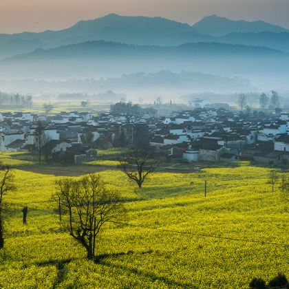 黄山+宏村景区+西递+呈坎+徽州古城5日4晚私家团