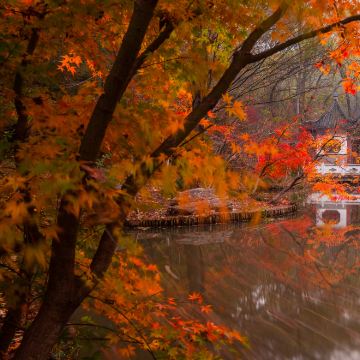 南京+夫子庙秦淮风光带3日2晚私家团