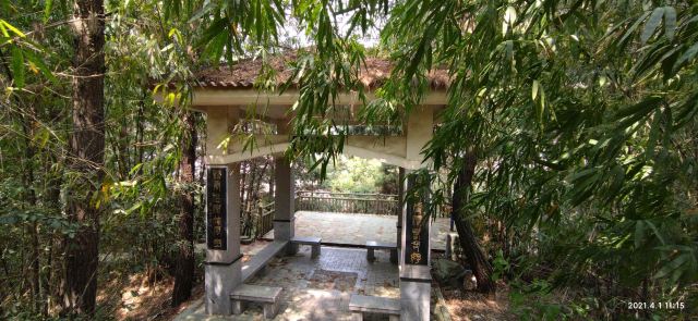 檀香山公园旅行图片 4
