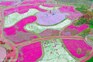 融南汇北，一城运河水韵，感受千年诗画淮安的魅力