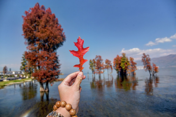 云南旅行|苍山旁，洱海畔，坠入大理的风花雪月