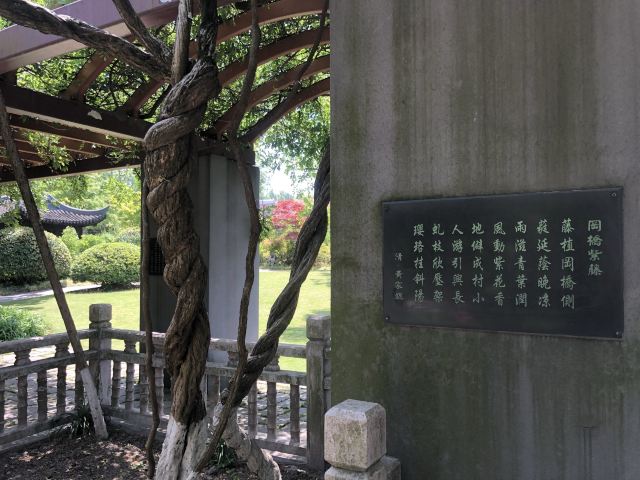 古藤园旅行图片 8
