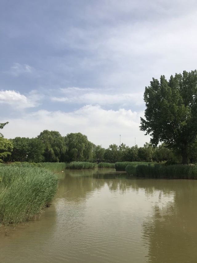 东坝公园旅行图片 1