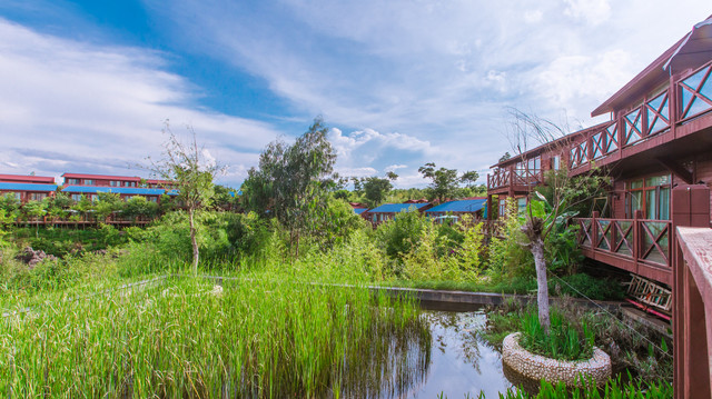 昆明周末游:住杏林大观园石泉村,逛国家4A级景区,泡石海弗疗温泉,享生态采摘之乐
