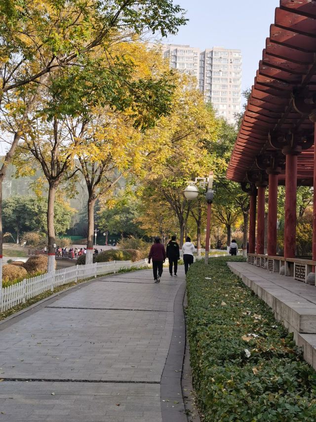 学府公园旅行图片 14