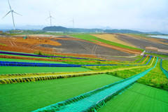 龙里游记图片] 油画大草原，真的像走进画里的感觉
