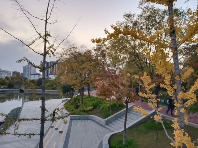 晋阳街公园旅行图片 3