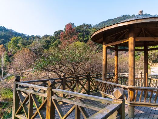 福州鼓山相怀梅园