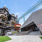Shang Brew 香啤坊