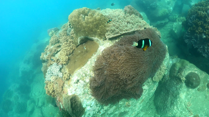 亚龙湾龙仔岛