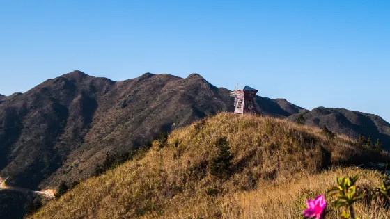 大芹山