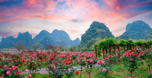 清远旅游，赏婚纱摄影花海，醉美夜景北极光，驰骋越野车乐翻天！