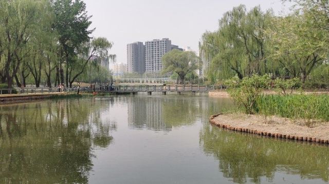 将府公园旅行图片 3