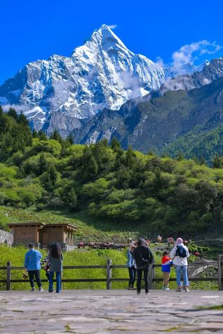 四姑娘山的夏日色彩，你pick哪一种？