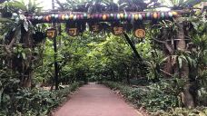 兴隆热带植物园-万宁-C-IMAGE