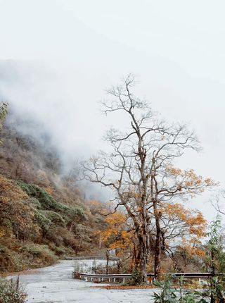 看啊！下雪啦，去绵阳赏雪吧！