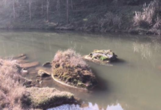 太和白鹭风景区景点图片