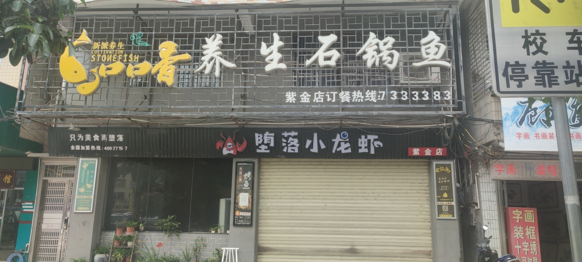 口口香养生石锅鱼(紫金店)餐厅图片