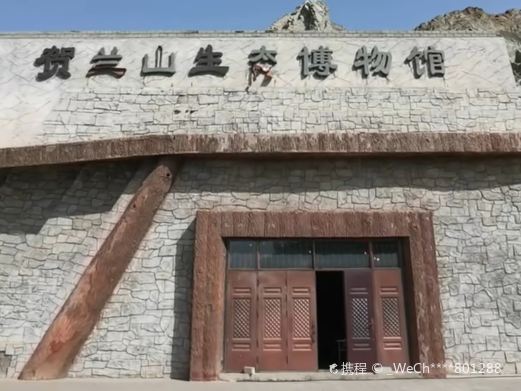 贺兰山自然博物馆
