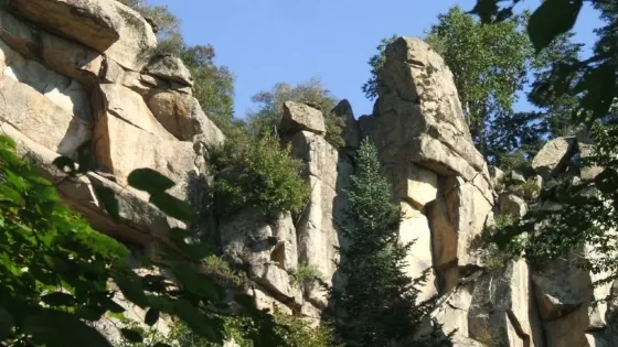 鳳梨山