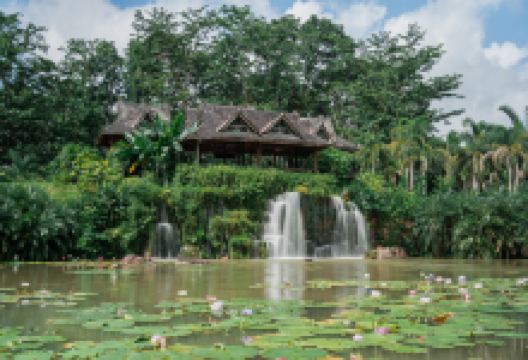 中国科学院西双版纳热带植物园景点图片