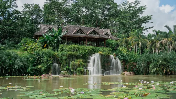中科院西雙版納熱帶植物園