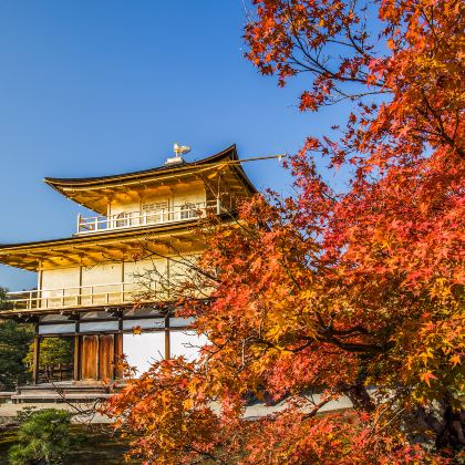 日本6日5晚跟团游