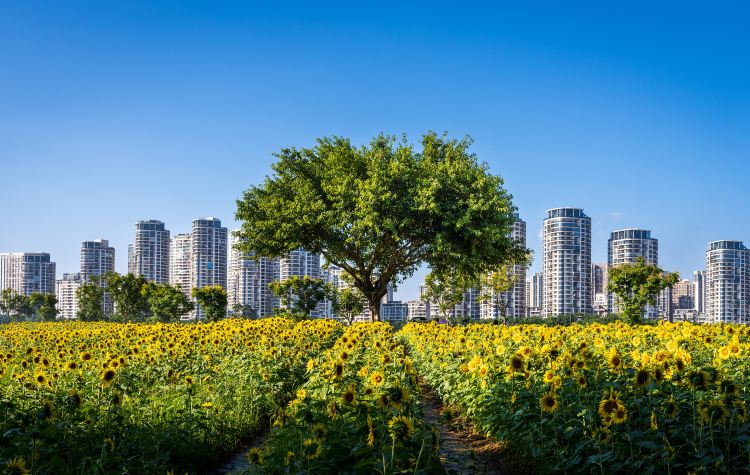福州花海公园