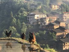 黄洛红瑶寨-龙胜-岱山香橙