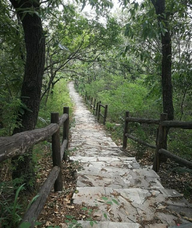金陵遗址旅行图片 3