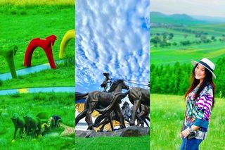 中国马镇-这个夏日以梦为马以马为梦，徜徉草原季
