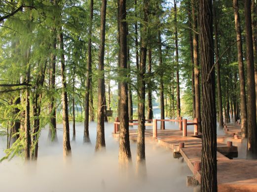 东湖落雁景区