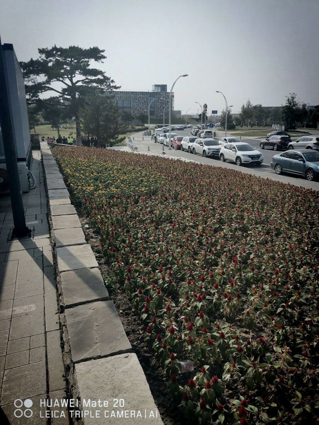 莫子山公园旅行图片 1