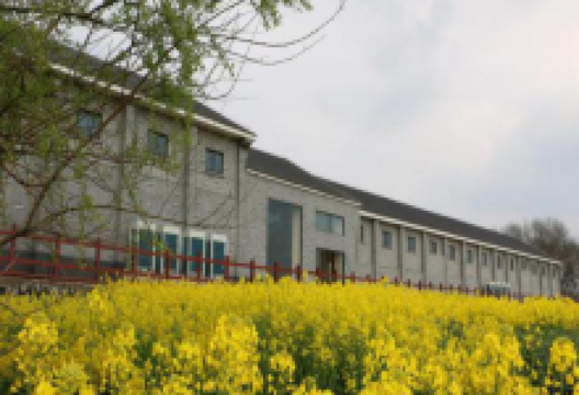 凌家滩考古遗址公园景点图片