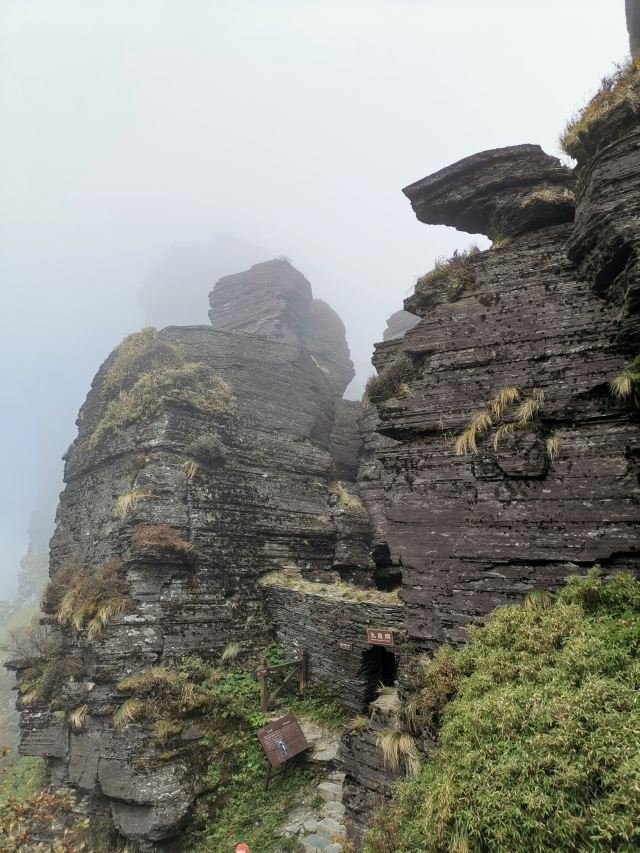 梵净山公园旅行图片 14